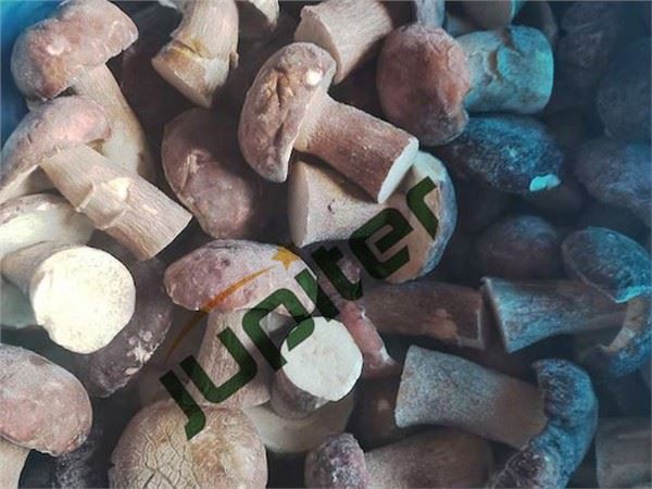 Qav Boletus Edulis Nceb Tag Nrho Qib 1